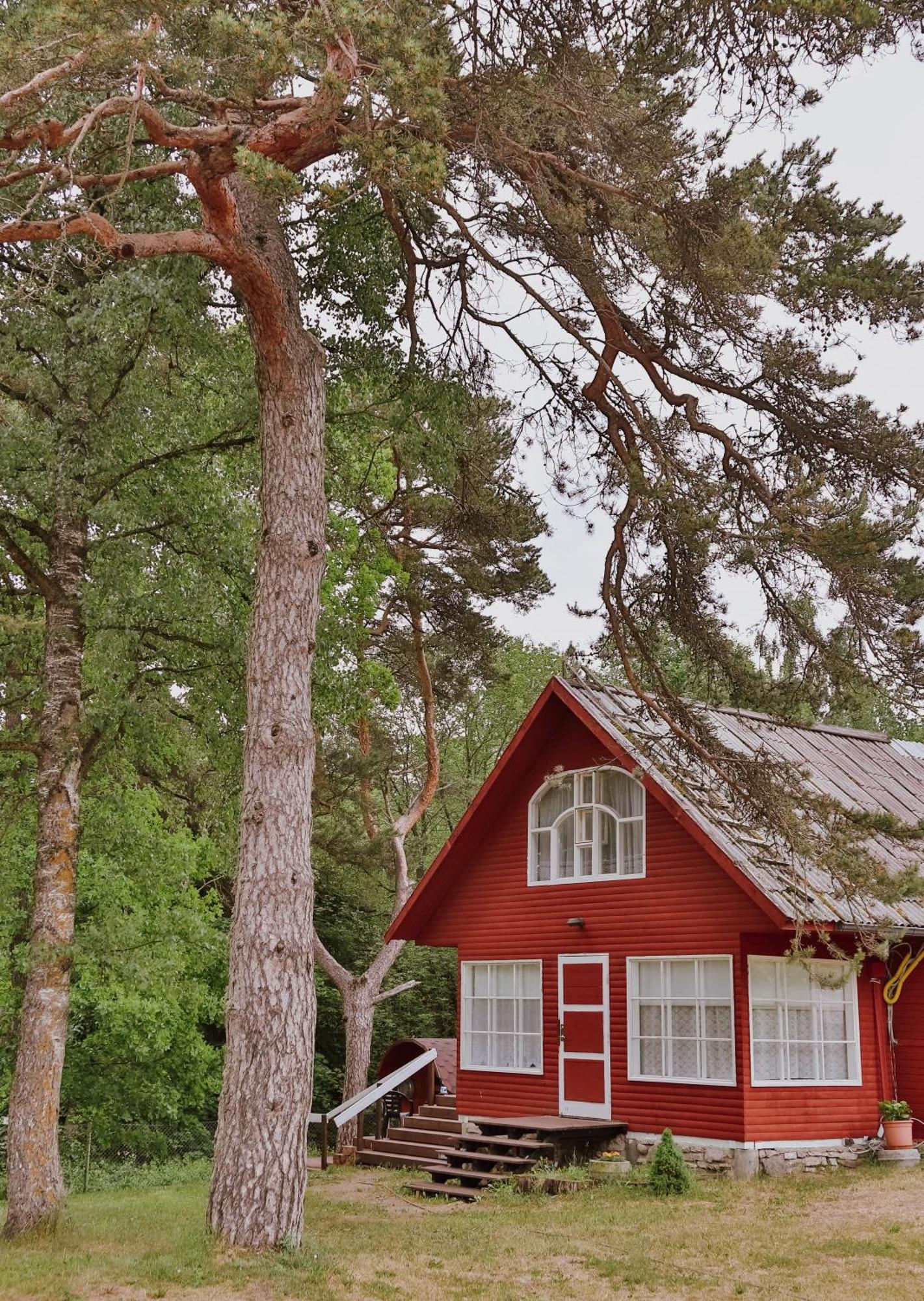 Toolse Puhkekuela Hotel Bagian luar foto